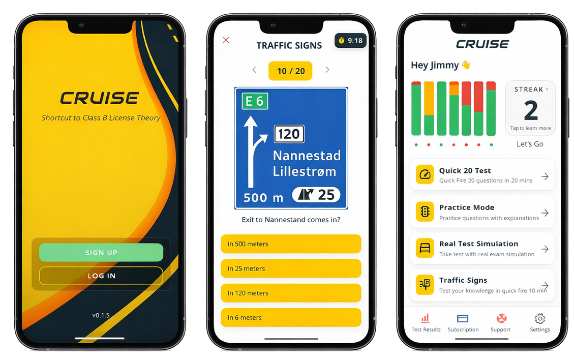 Cruise mock test screen